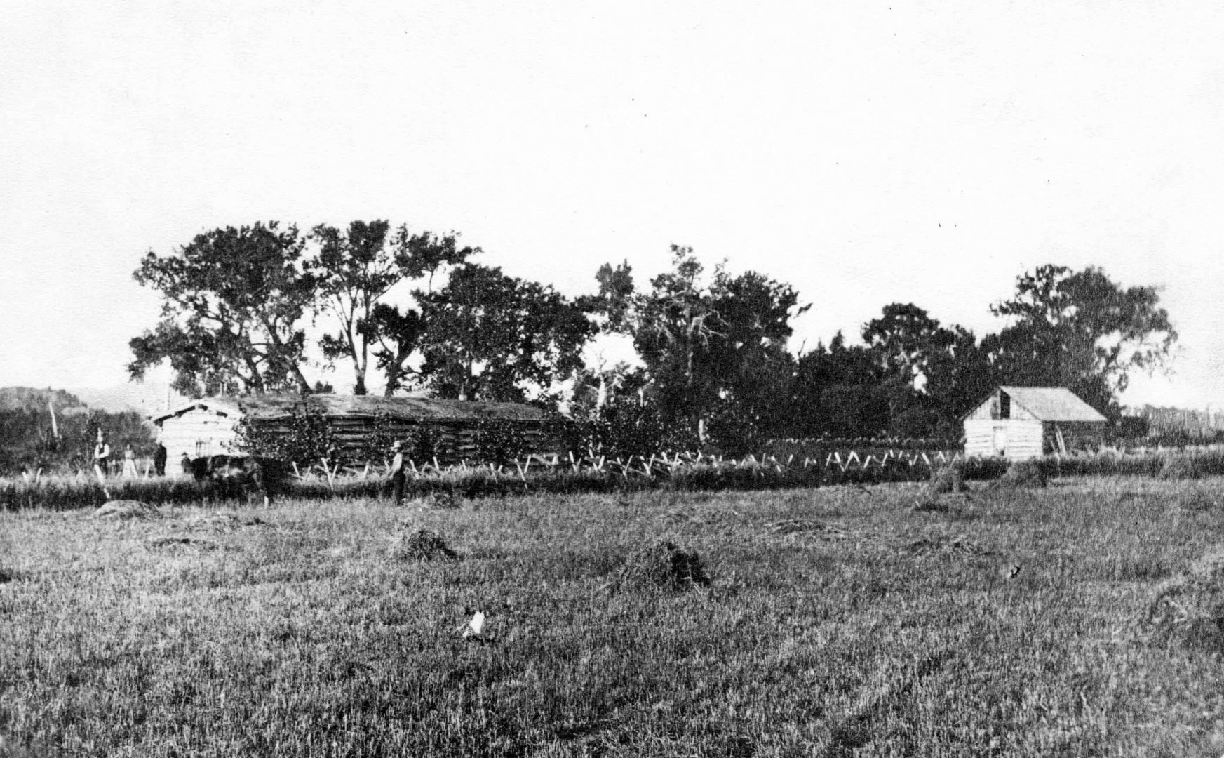 Orson Newman home west of Coulson